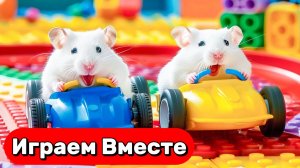 ЛАБИРИНТ ДЛЯ УМНОГО ХОМЯКА 🐹 ПРОХОДИМ ПОЛОСУ С ЛОВШКАМИ И МОНСТРАМИ ! ВИДЕО ДЛЯ ДЕТЕЙ