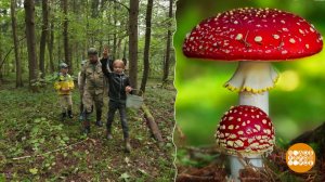 «Съедобное-несъедобное»: по грибы - с папой. Доброе утро. Суббота. Фрагмент выпуска от 06.09.2025