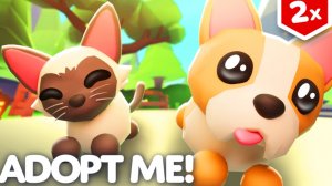 2 НЕДЕЛЯ ДОМАШНЕГО ОБНОВЛЕНИЯ!🐱🐶