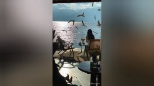 suno-Песня ИИ-На сердце замки душа на пароле. Видеомонтаж Елена Мельникова.