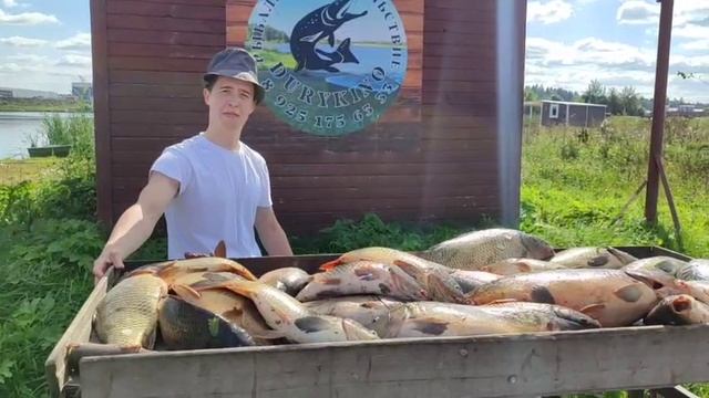 WhatsApp Video 2025-09-06 at 15.40.40 смотреть онлайн