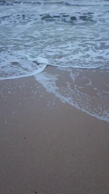 Море 1 апреля