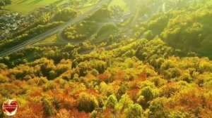 Псалмы! Сборник 2 часть.