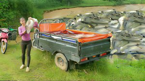 Продажа фермерской рыбы сельским жителям. Жизнь во Вьетнаме