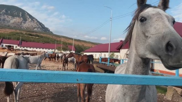 Минеральные Воды. Обзор самых посещаемых мест.