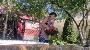 Как лучше построить навес? Купили картошку. Заготовки на зиму. Готовлю отбивные и лечо.