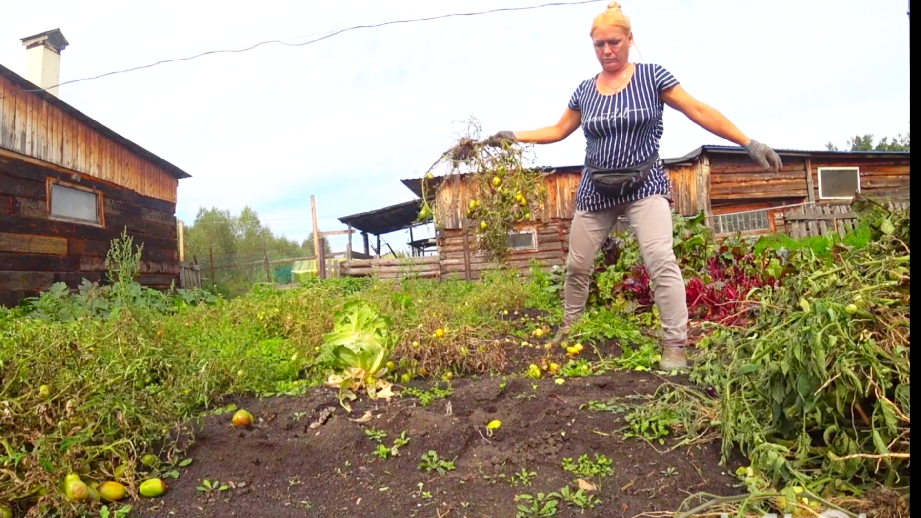 Деревня,ну и кто тут самый смелый?Поменяла индюков и что из этого вышло,уборка на огороде смотреть онлайн