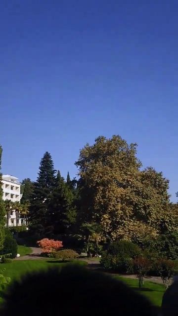 Английский сад парка "Айвазовское"