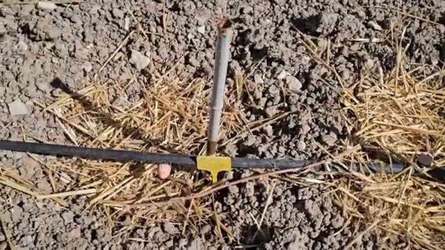 🌺🌺🌺🍃 смотреть онлайн