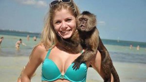 ✅ ПРИКОЛЫ, ОТ КОТОРЫХ ЛОПНЕШЬ ОТ СМЕХА! 🤣