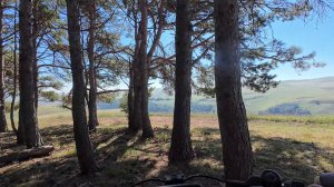 Кисловодск. Грибная прогулка в районе горы Баран на электроскутере WHITE SIBERIA ZVER. 3 часть.