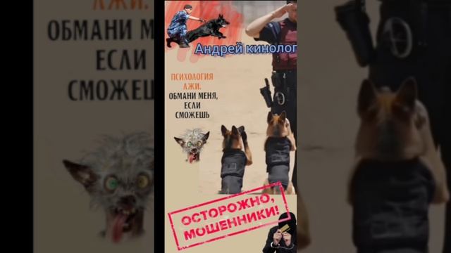 Умники и продлеватели 404 смотреть онлайн