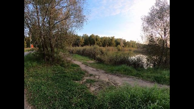 ПРОГУЛКИ ПО ОМСКУ. ПАРК 30 ЛЕТ ВЛКСМ. смотреть онлайн