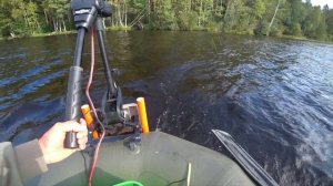 HASWING PROTRUAR 1.0 сравнение с MINN KOTA ENDURA 30