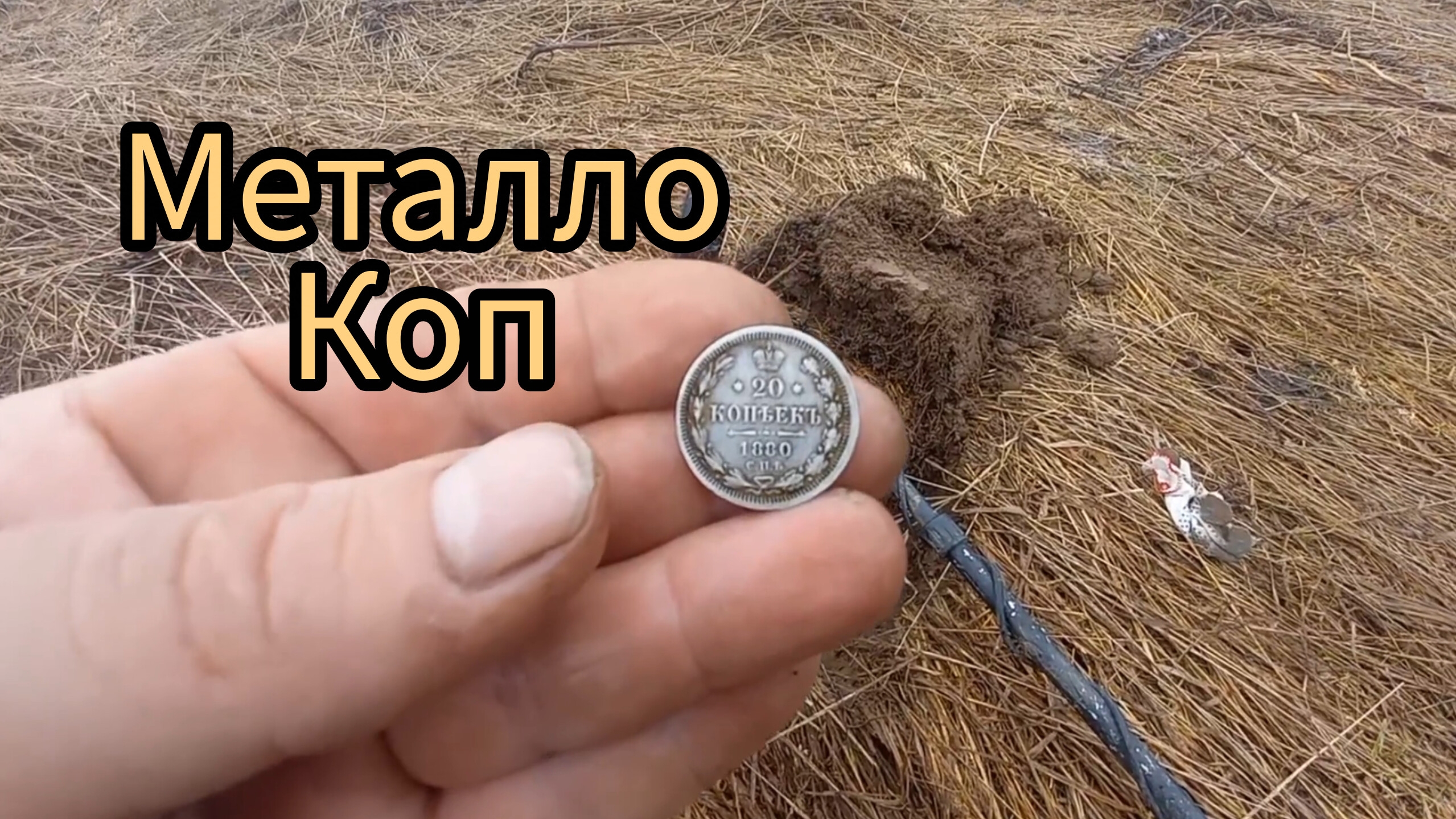 ОДИН В ЛЕСУ.