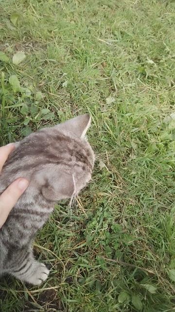 Молоко под охраной