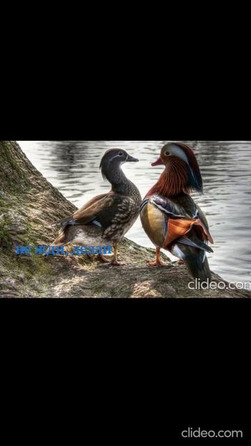 Тихое напоминание...