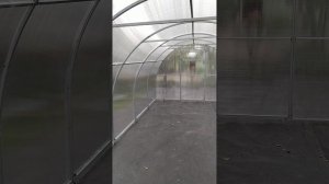 видеообзор 2025