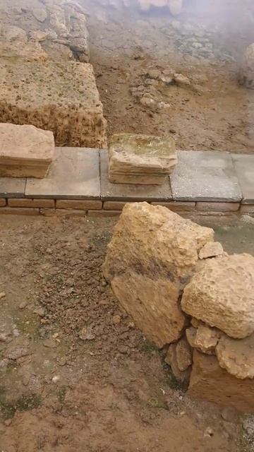 Керкинитида