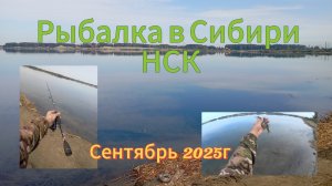 Рыбалка в Сибири НСК на спиннинг. Сентябрь 2025г