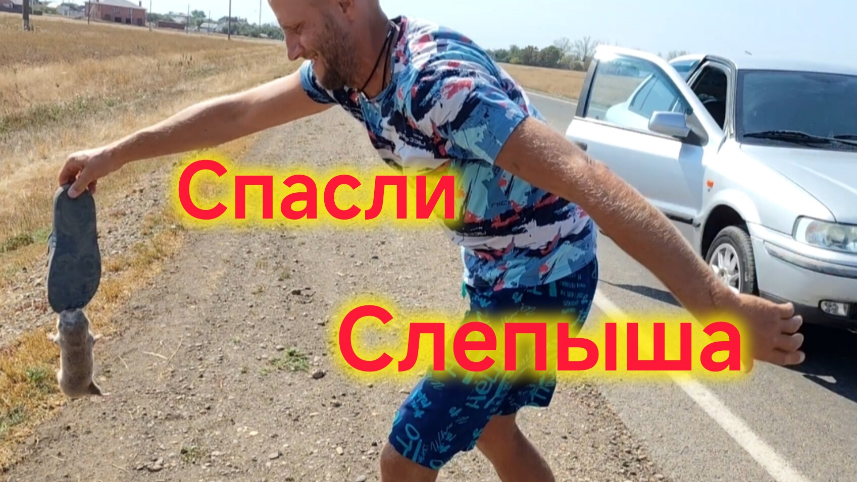 Слепыш напал на Володю/Вернули СОБАКУ/Подарки от подписчиков ❤️/Воспитываем МАРСА смотреть онлайн