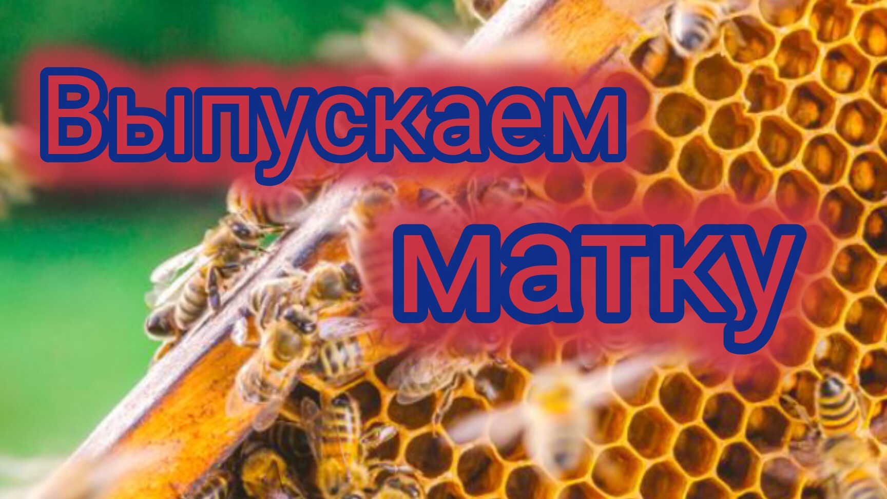 Выпускаем матку смотреть онлайн