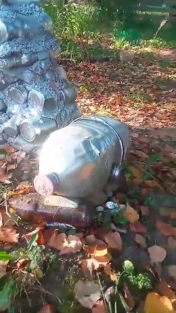 Зачем мы собирали бутылки #зонирование #дачное #shorts_video