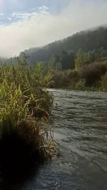 Осень. Красноярск. 2025 сентябрь