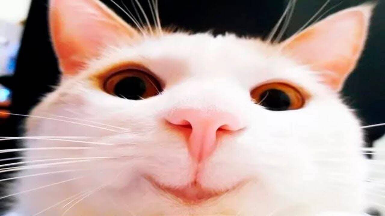 гта 5рп смотреть онлайн
