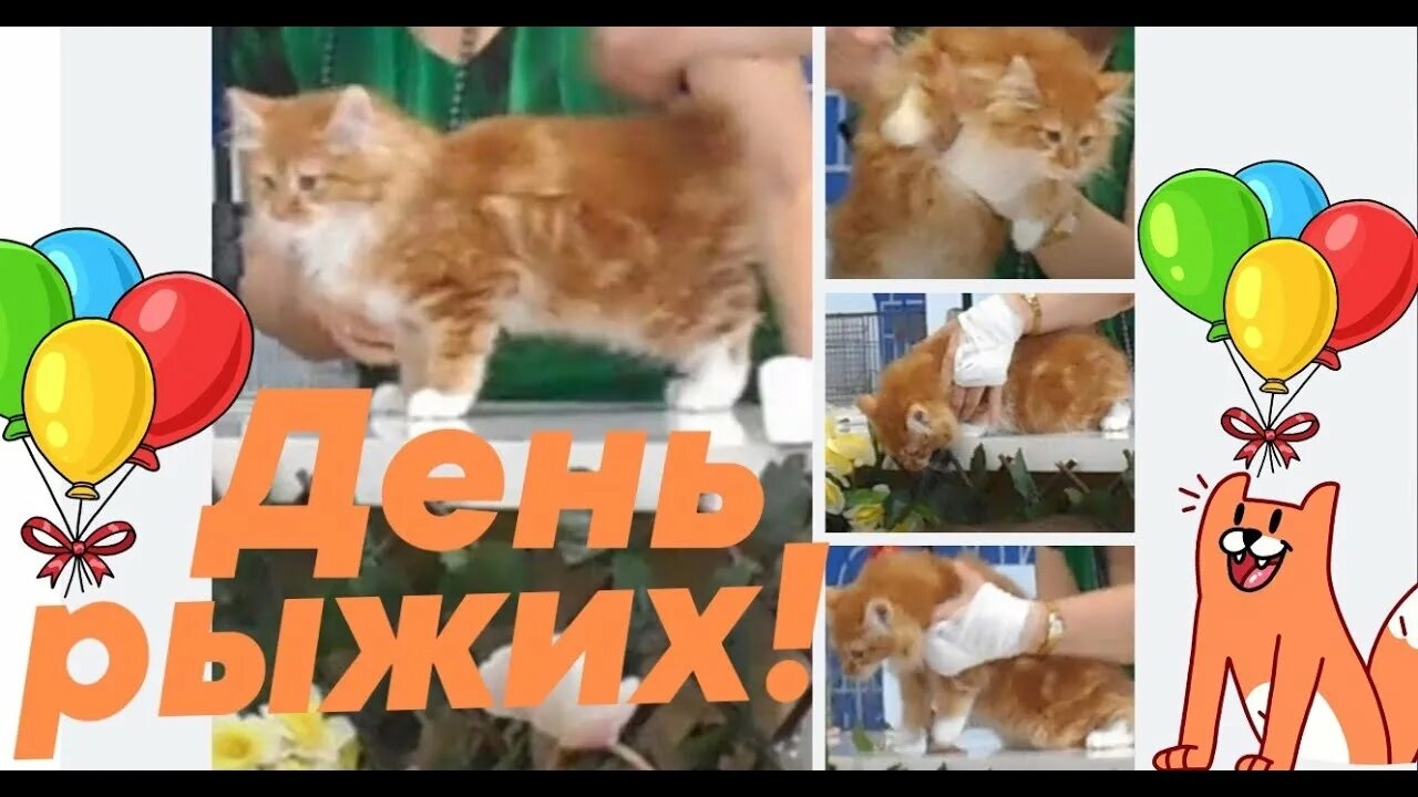 06.09.25 - День рыжих смотреть онлайн