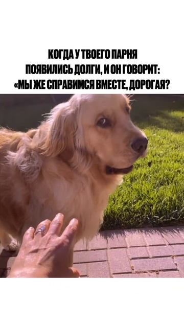 Как избавиться от всех долгов?