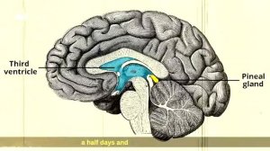 06-09-2025 Секреты Поднебесной