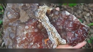 Слет любителей минералов в мае 2025г. Часть 2, поиски агатов, халцедонов, рисунчатых кремней