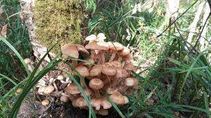 За ОПЯТАМИ  6 сентября 2025 г / Смоленская область