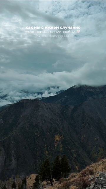 читай описание