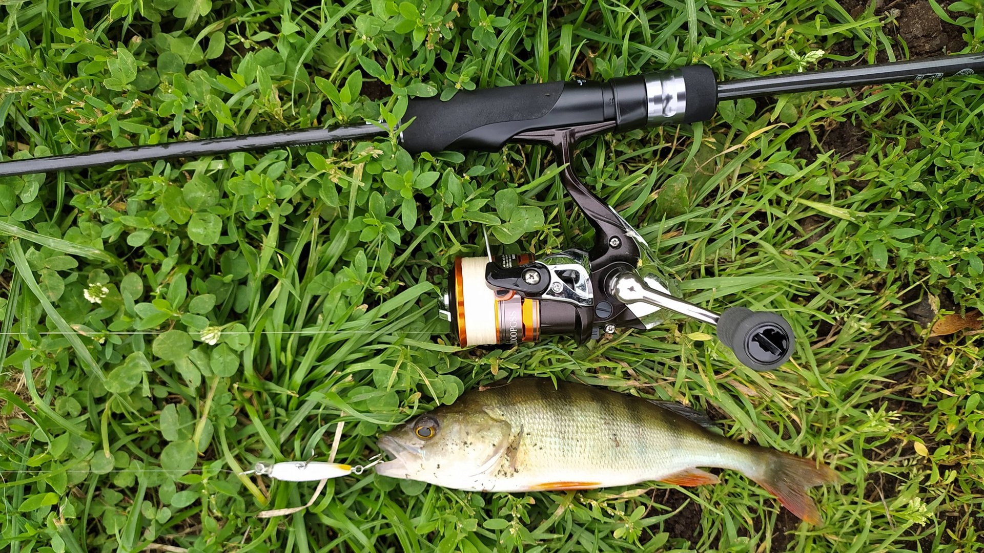 Черневские пруды. Разведка с воблерками