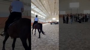 Студенты ДГТУ, желающие знать про лошадей и конный спорт, приезжают к нам на на экскурсии