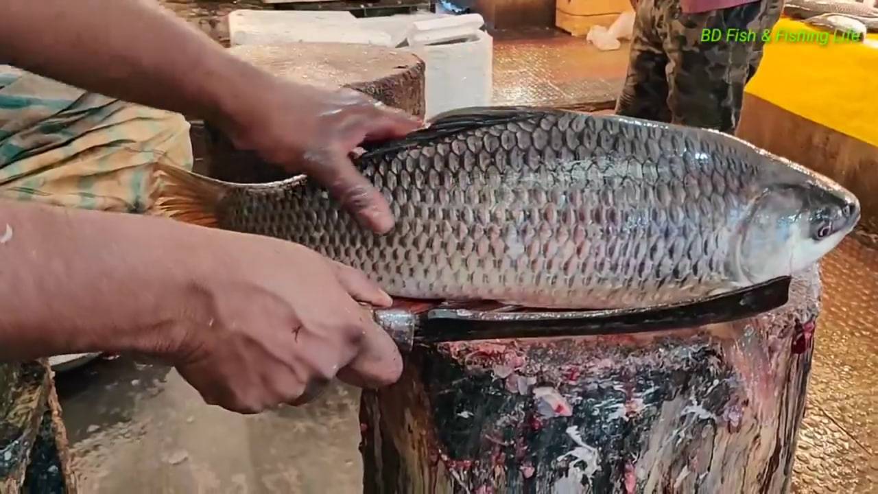 Очень Ловкая Разделка Рыбы Профессионалом