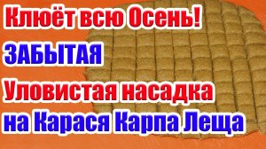 Будет клевать всю осень. Насадка на Карася Карпа Леща На что ловить рыбу Осенью