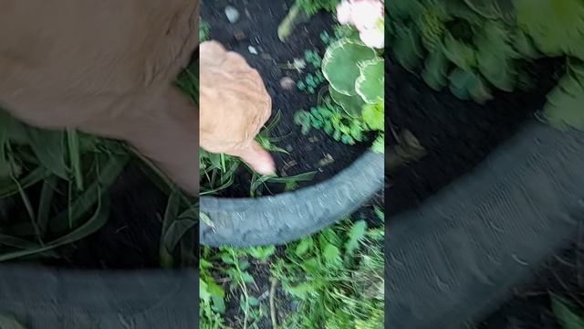 Рецепты завтра сегодня уборка смотреть онлайн