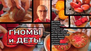 Самые вкусные гномы. Дегустация сортовых томатов ч 3.