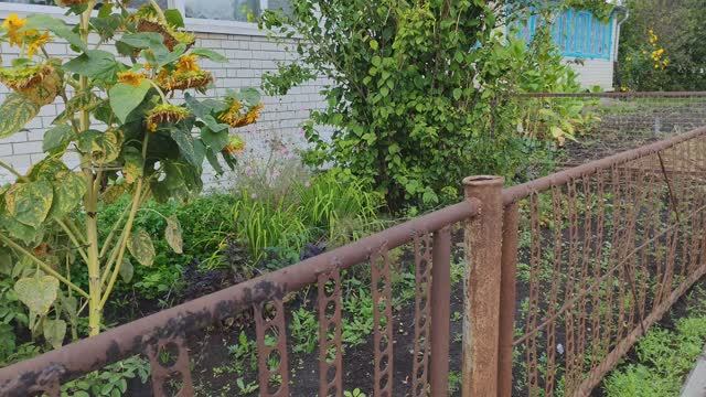 Деревенская эстетика