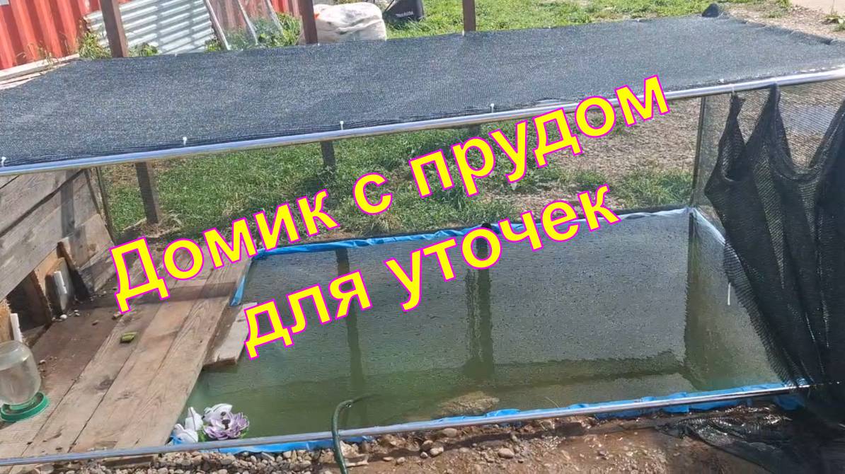 Утятник за пару часов.