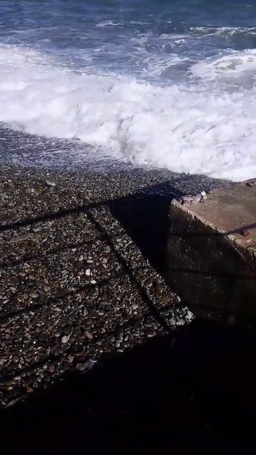 Поплаваем? #shorts_video #nature #крым