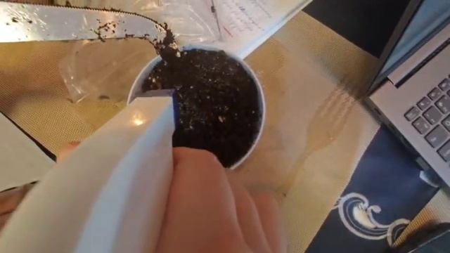 #37 💪 ФИТНЕС И САЛАТЫ🍓🚙МАШИНЫ И КОНЦЕРТЫ🏟️ ПОДАРКИ НА ДР 🎁, АГАВА В ГОРШКЕ🪴 RICH КОНТЕНТ ДЛЯ W смотреть онлайн