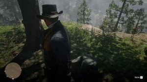 Дикое Ограбление Поезда!  Red Dead Redemption 2 #9
