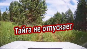 Блуждание на НИВЕ по Таежным Делянкам.