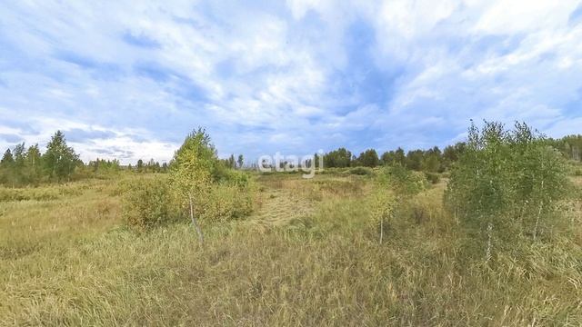 5879011 смотреть онлайн