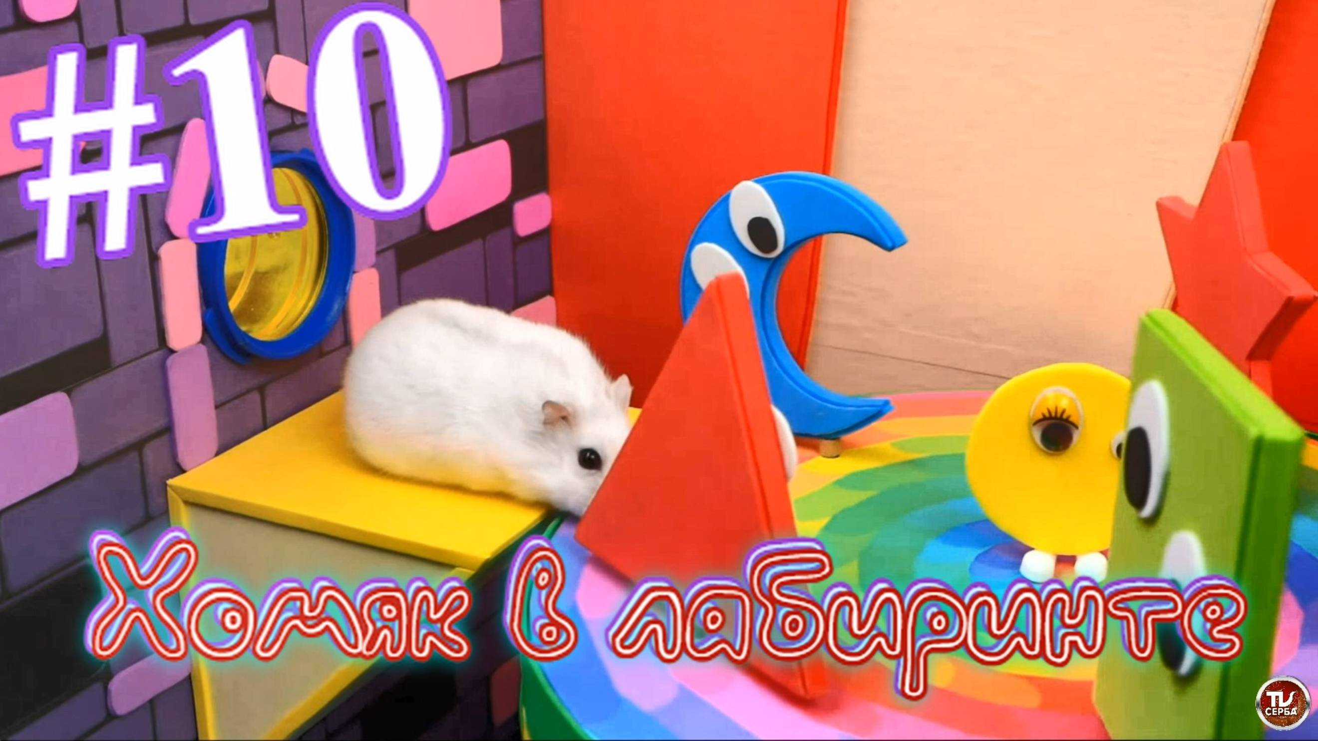 Хомяк в лабиринте (10 серия) смотреть онлайн