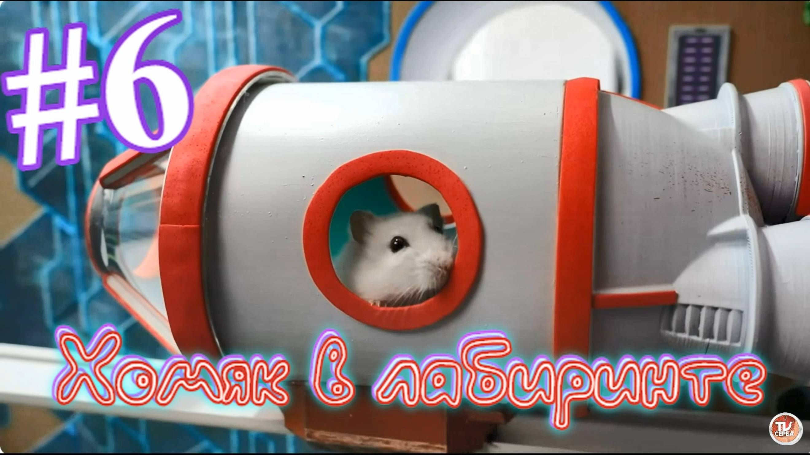 Хомяк в лабиринте (6 серия) смотреть онлайн